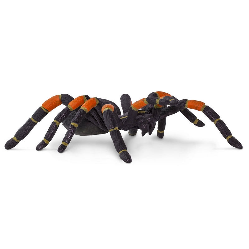 Safari Ltd Orange-Kneed Tarantula