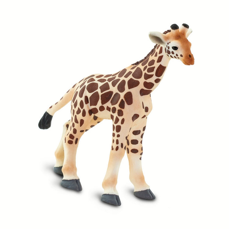 Safari Ltd Giraffe Baby