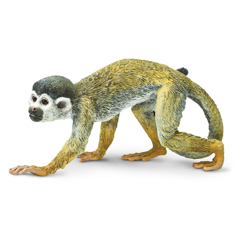 Safari Ltd Squirrel Monkey