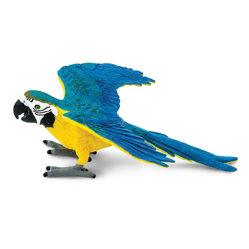 Safari Ltd Blue & Gold Macaw