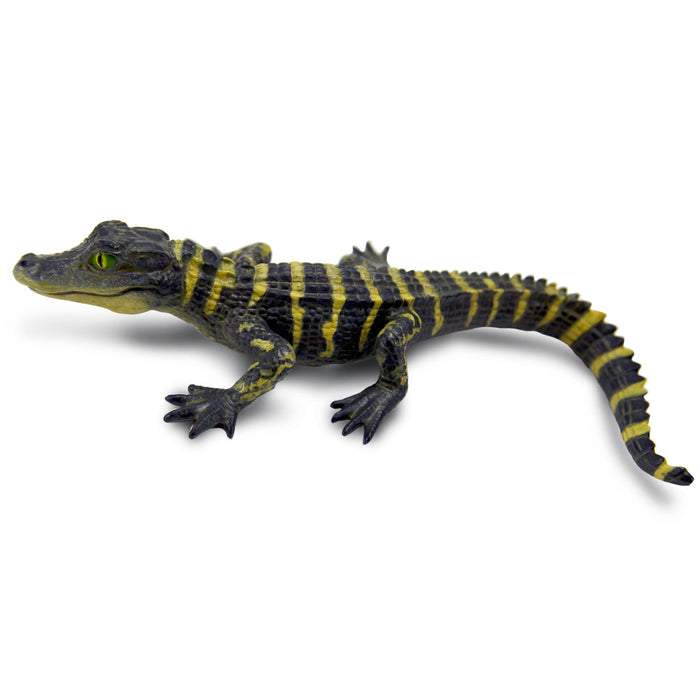 Safari Ltd Alligator Baby — HTDirect