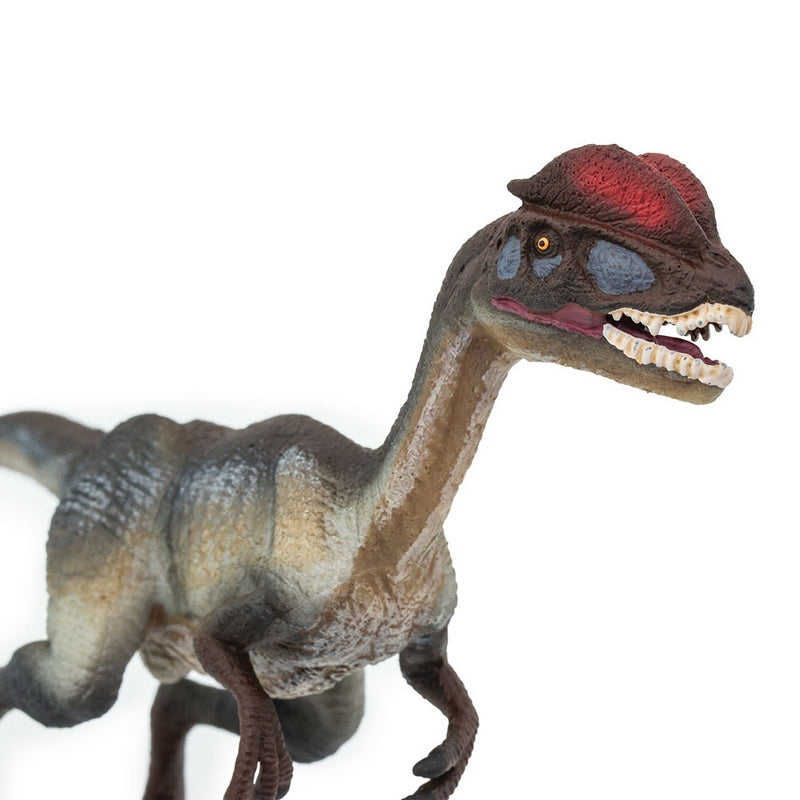 Safari Ltd Dilophosaurus