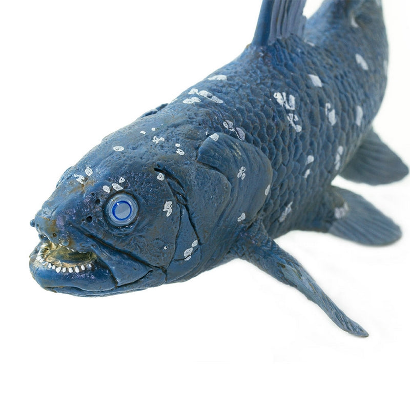 Safari Ltd Coelacanth