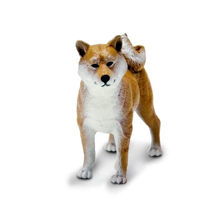 Safari Ltd Shina Inu