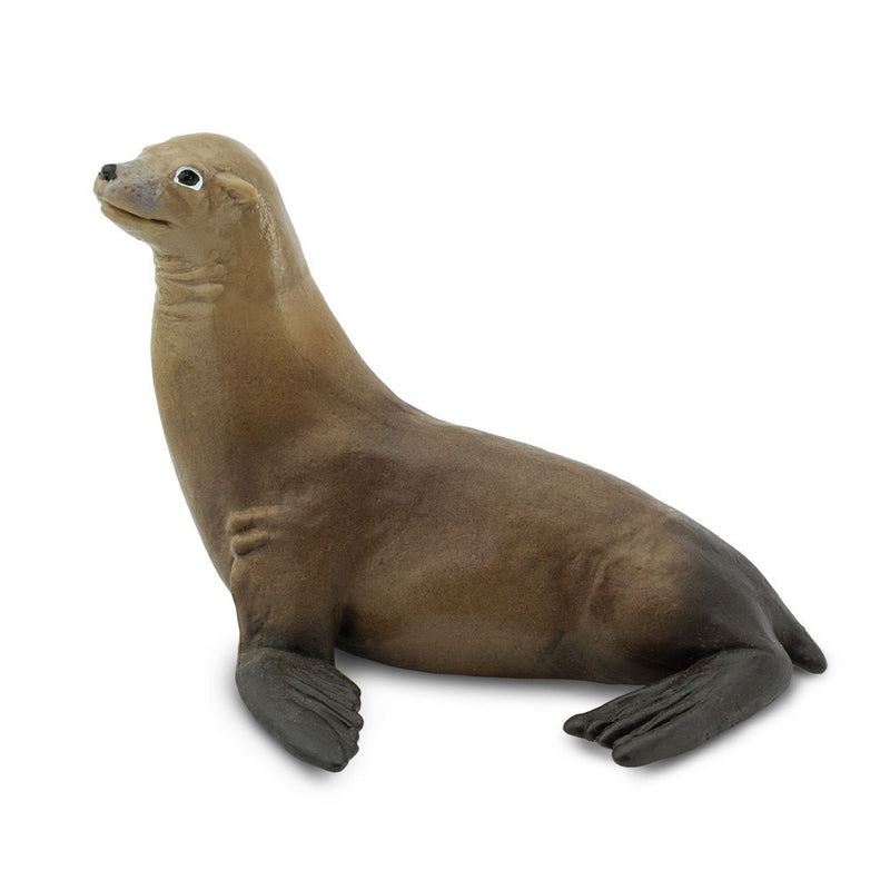 Safari Ltd Sea Lion