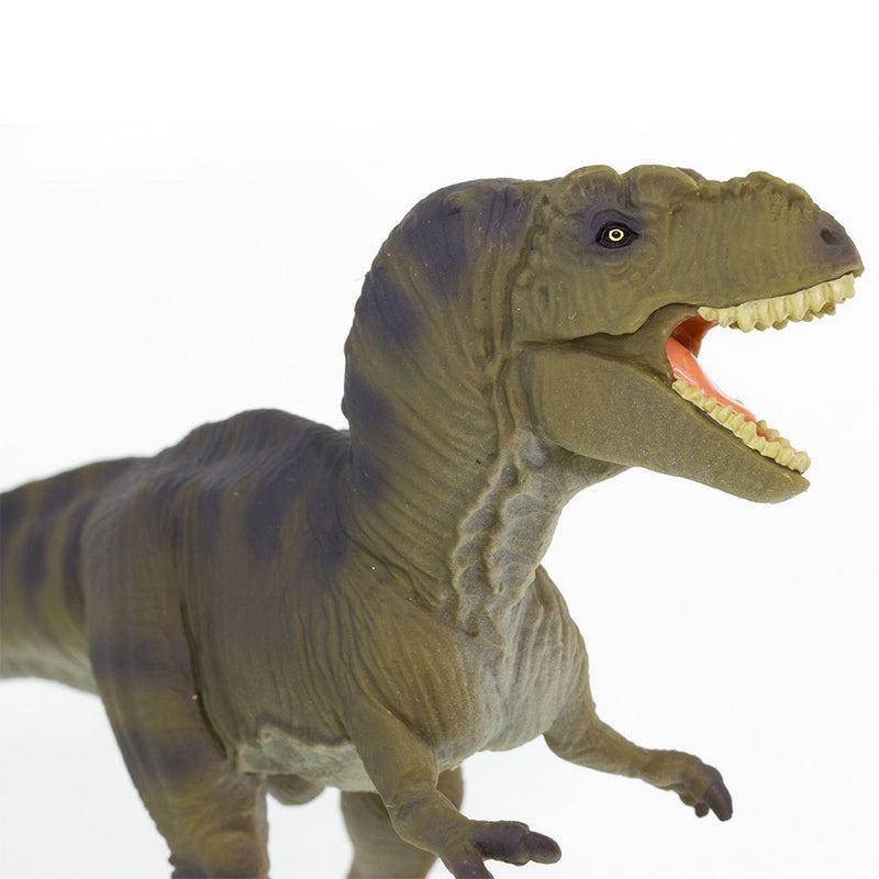 Safari Ltd Tyrannosaurus Rex