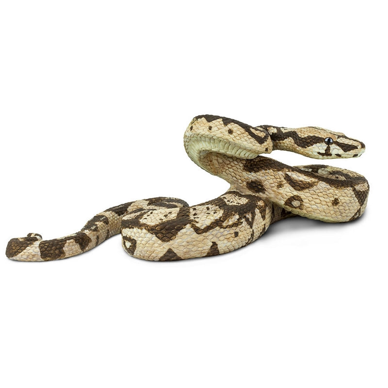 Safari Ltd Boa Constrictor