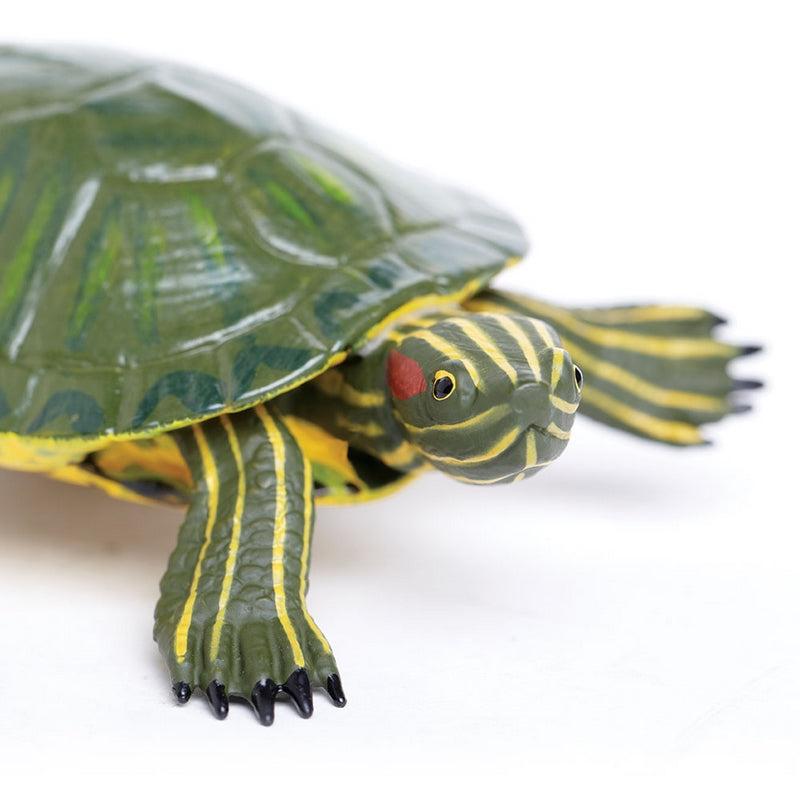 Safari Ltd Red-Eared Slider Turtle