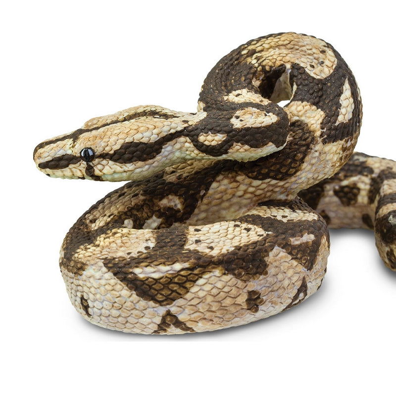 Safari Ltd Boa Constrictor