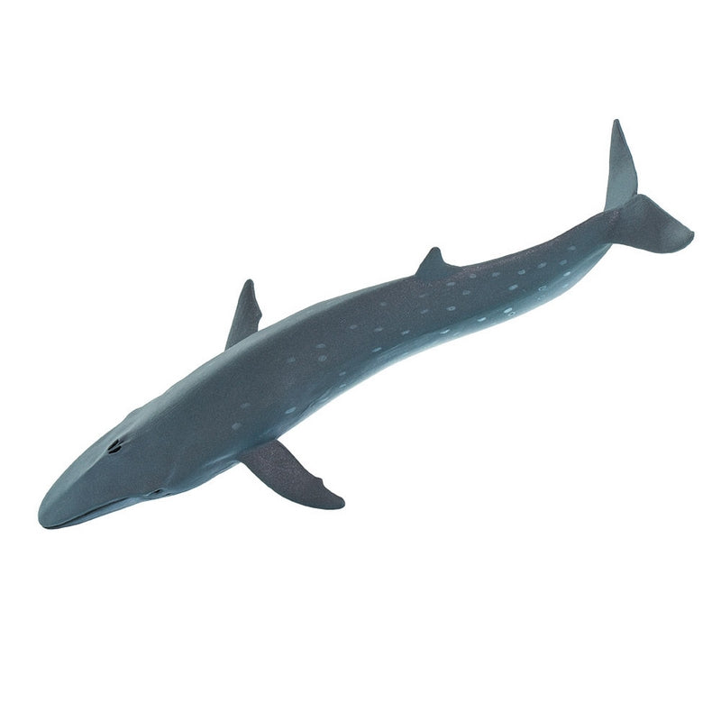 Safari Ltd Sei Whale