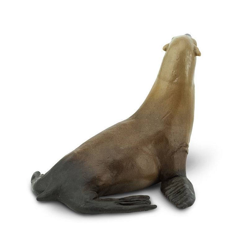 Safari Ltd Sea Lion