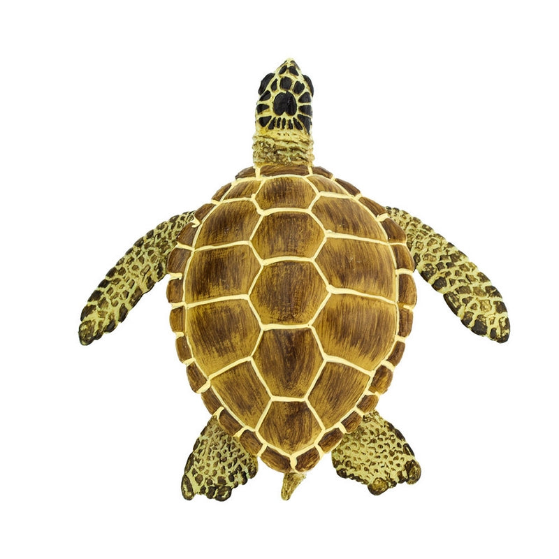 Safari Ltd Loggerhead Turtle