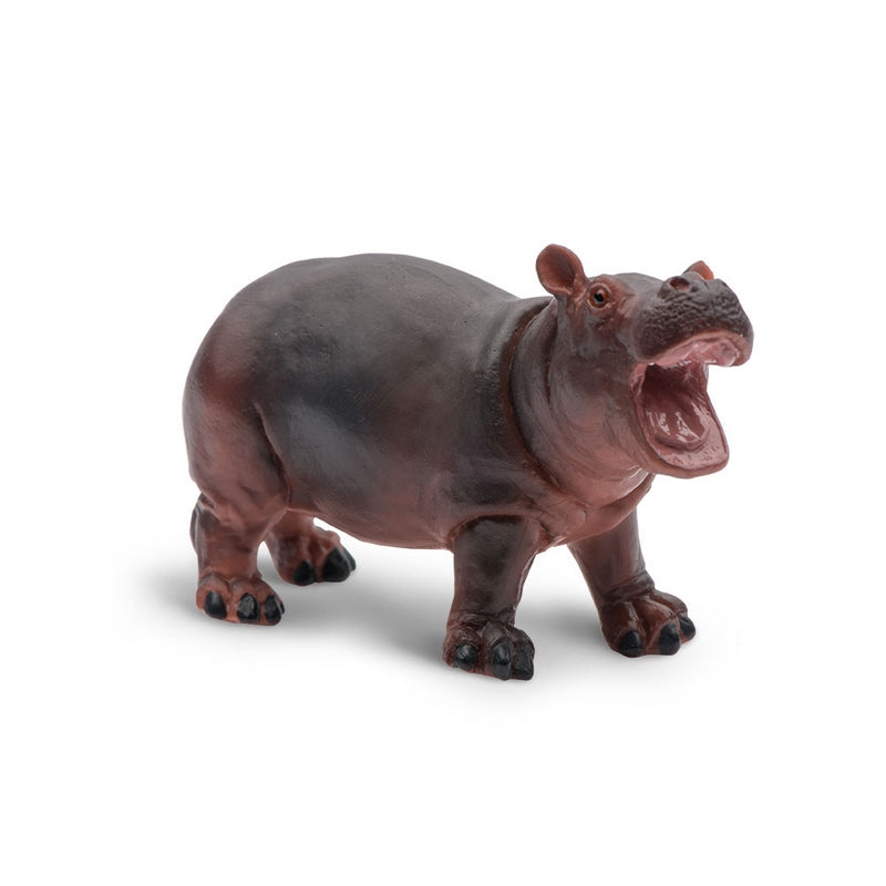 Safari Ltd Hippopotamus Baby