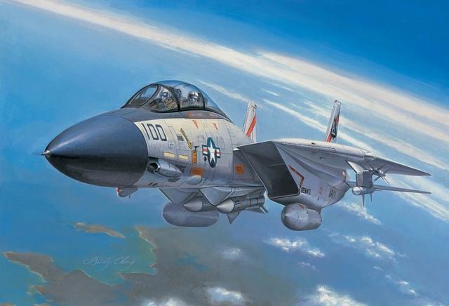 Hobbyboss 1:72 F-14A Tomcat