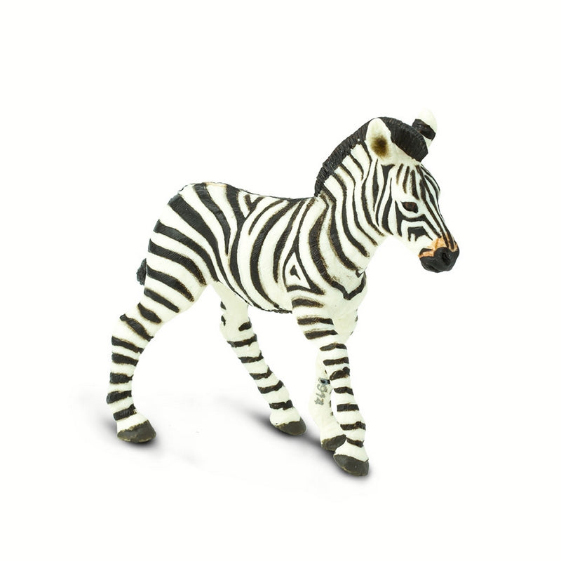 Safari Ltd Zebra Foal