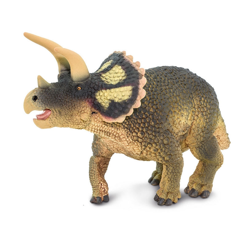 Safari Ltd Triceratops