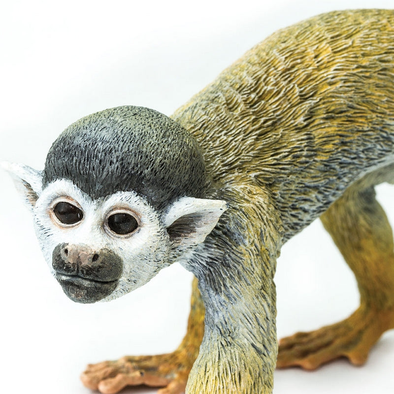 Safari Ltd Squirrel Monkey